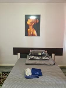 a bed in a room with a picture on the wall at Apartament Geo in Nehoiu
