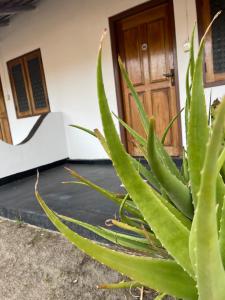 Fotografie z fotogalerie ubytování Anandas Beach Resort v destinaci Trincomalee