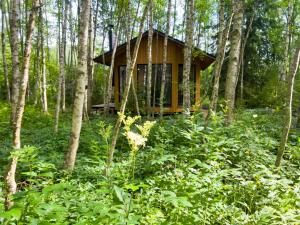 a tree house in the middle of a forest at Paunküla Nature Villa in Silmsi