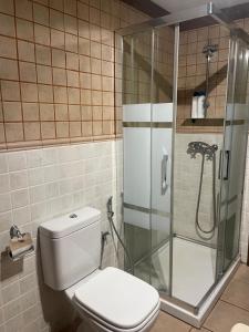 a bathroom with a toilet and a glass shower at La Jelechera in El Gasco +30 photos