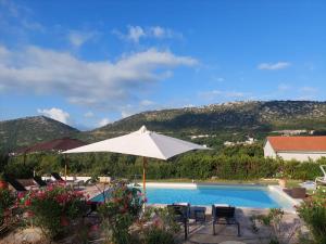 a swimming pool with a white umbrella and chairs and a pool at Villa Desideria in Bribir