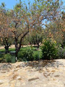 a park with trees and flowers and a bench at Okyanus apart second floor number 7 in Datca