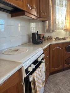 a kitchen with a stove with towels on the oven at Happyfield in Lixouri +6 photos