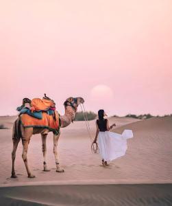 Oaspeți care stau la The Desert Gateway Resort