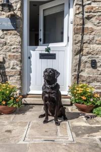 Gallery image of Frog House in Reeth