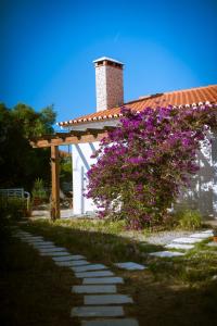 a stone path in front of a house with purple flowers at Endless Summer Surf House in Aljezur
