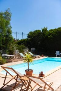 a swimming pool with chairs and a palm tree in it at Endless Summer Surf House in Aljezur