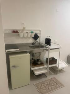 a kitchen with a sink and a refrigerator at Mistral in Riomaggiore