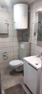 ein Badezimmer mit Toilette und Waschbecken in der Unterkunft Apartman Lena in Vrnjačka Banja