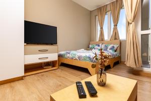 Μια τηλεόραση ή/και κέντρο ψυχαγωγίας στο Plaza Nest - Cozy Studio Apartment by Flat Manаger
