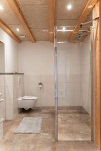 a bathroom with a toilet and a glass shower stall at Ferienwohnung Hof in Wolfach