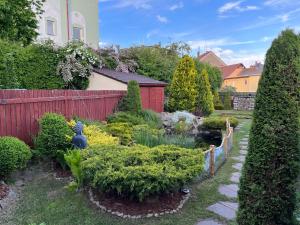a garden with bushes and a fence and a pond at Lomnice nad Popelkou v srdci českého ráje in Lomnice nad Popelkou +10 photos