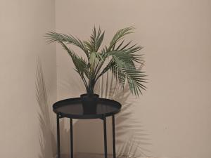 a black table with a potted plant on it at luxury stay, great vibes in Al Madinah