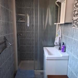 a bathroom with a shower and a sink and a shower at Holiday house Lepena in Soča