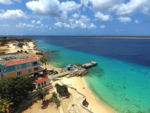 an aerial view of a beach and the ocean at Ocean View Apartment Flounder at Den Laman in Kralendijk