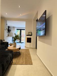 a living room with a couch and a tv on a wall at 3Liebenauer Boutique Apartments in Worms