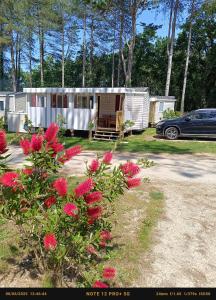 a group of mobile homes in a parking lot with flowers at Mobil home 6 personnes Mer et Pins in Piriac-sur-Mer