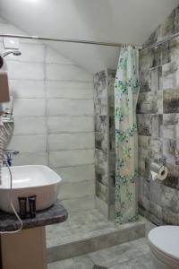 a bathroom with a shower with a sink and a toilet at Aronia Kazbegi in Stepantsminda