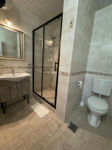 a bathroom with a toilet and a shower and a sink at Apartments Slavica Jovanovic in Sveti Stefan +6 photos
