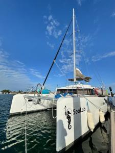 a sailboat docked at a dock in the water at Spacious 52 ft Catamaran for Dockside Stay in Key West