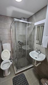 a bathroom with a shower and a toilet and a sink at Sobe Gornja Trepca in Gornja Trepča