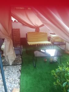 a tent with a cake on a table in the grass at Villa Verde Apartments and Rooms in Premantura