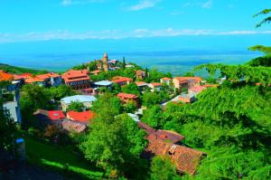 a small town on a hill with trees and houses at Tsminda Giorgi Apartment in Sighnaghi