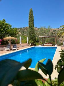 皮萨拉Santa Teresa Bed & Breakfast Andalusien的一个有两把椅子和一把遮阳伞的游泳池