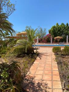 皮萨拉Santa Teresa Bed & Breakfast Andalusien的通往花园游泳池的走道