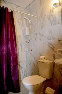 un bagno con wc e doccia di Mandala Hotel a Encarnación