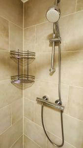 a shower with a shower head in a bathroom at Apartamenti Pētera 28 in Ventspils