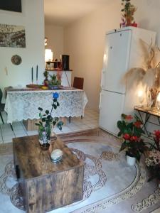 Kuchyň nebo kuchyňský kout v ubytování Comme A La Maison Chez Dominnique Coquet T2 Avec Jardin Homme Chaleureux