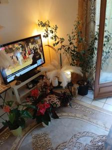 TV a/nebo společenská místnost v ubytování Comme A La Maison Chez Dominnique Coquet T2 Avec Jardin Homme Chaleureux