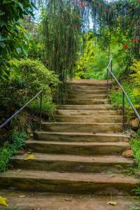 Φωτογραφία από το άλμπουμ του Serene Stay Gardens Muranga σε Murangʼa +10 φωτογραφίες