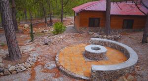 Zahrada ubytování Apino Lodge del Celaque