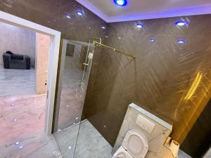 ein Badezimmer mit Dusche und Toilette in der Unterkunft Vila Aurora Palace in Chiajna + 9 Fotos