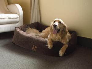 a dog laying in a dog bed in a room at Hôtel Le Germain Québec in Quebec City