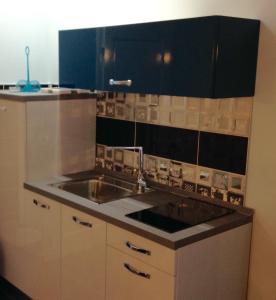 Kuchyň nebo kuchyňský kout v ubytování Luxury Apartments Marhella & Jakov