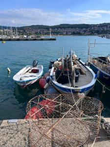 Gallery image of Noa & Dan in Koper