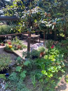 Gallery image of Noa & Dan in Koper