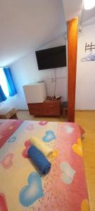 a room with a bed with a tv and a rug at D&M in Neptun