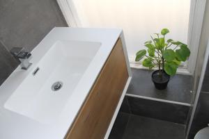 a bathroom with a white sink and a potted plant at Cosy Private Bedrooms in Euston London in London