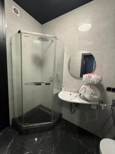 a bathroom with a shower and a sink and a mirror at Arcadia Apartments in Odesa