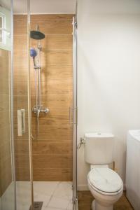 a bathroom with a toilet and a shower at Rez de Jardin - Calme & Familiale in Varreddes