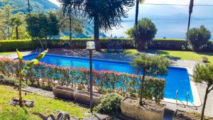 une piscine dans un jardin planté de fleurs et d'arbres dans l'établissement Vista Maccagno, à Maccagno Inferiore