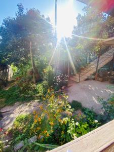 Zahrada ubytování Guest House Chirina