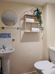 a bathroom with a sink and a toilet and a mirror at Lydgate Cottage, Dartmoor in Postbridge
