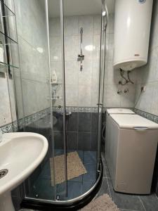 a bathroom with a shower and a toilet and a sink at Gabi's Cozy Corner in Kumanovo