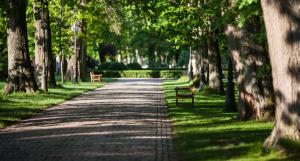 Ogród w obiekcie Pałac Ciekocinko Hotel Resort & Wellness