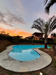 a small swimming pool with a palm tree in front of a house at Casa del Bosque at La Fortuna in Fortuna